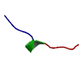 Homeobox Protein D8 (HOXD8)