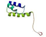 Homeodomain Only Protein (HOP)