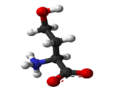 Homoserine (HS)