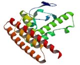 HscB Iron Sulfur Cluster Co Chaperone Homolog (HSCB)