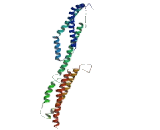 Huntingtin Associated Protein 1 (HAP1)