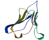 Hyaluronan And Proteoglycan Link Protein 3 (HAPLN3)