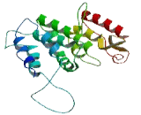 Hydrolethalus Syndrome Protein 1 (HYLS1)