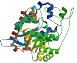 Hydroxyacid Oxidase 2 (HAO2)