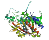 Hydroxyacyl Coenzyme A Dehydrogenase Beta (HADHb)