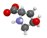 Hydroxyproline (Hyp)