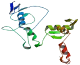 Hypermethylated In Cancer 1 (HIC1)