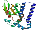 Hyperpolarization Activated Cyclic Nucleotide Gated Potassium Channel 1 (HCN1)