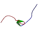 Hypocretin Receptor 2 (HCRTR2)