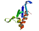 Hypoxia Inducible Domain Family, Member 1A (HIGD1A)