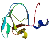 Hypoxia Inducible Domain Family, Member 1B (HIGD1B)