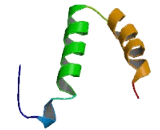 Hypoxia Inducible Domain Family, Member 2A (HIGD2A)