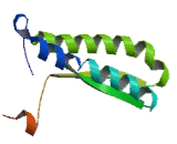 Hypoxia Inducible Domain Family, Member 2B (HIGD2B)