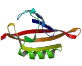 Hypoxia Inducible Factor 3 Alpha (HIF3a)