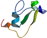 Hypoxia Inducible Lipid Droplet Associated Protein (HILPDA)