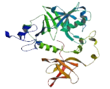 IBA57, Iron Sulfur Cluster Assembly Factor Homolog (IBA57)