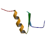 IKAROS Family Zinc Finger Protein 1 (IKZF1)