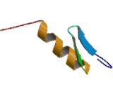 IKAROS Family Zinc Finger Protein 3 (IKZF3)