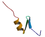 IKAROS Family Zinc Finger Protein 4 (IKZF4)