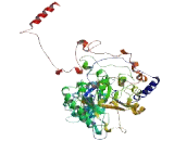 IQ Motif And SEC7 Domain Containing Protein 3 (IQSEC3)