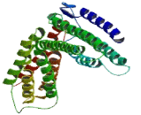 IQ Motif And Ubiquitin Domain Containing Protein (IQUB)