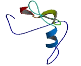 IQ Motif Containing Protein C (IQCC)