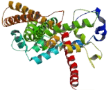 IQ Motif Containing Protein D (IQCD)