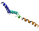 IQ Motif Containing Protein E (IQCE)