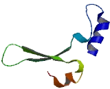 IQ Motif Containing Protein F1 (IQCF1)