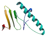 IQ Motif Containing Protein F2 (IQCF2)