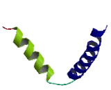 IQ Motif Containing Protein F6 (IQCF6)