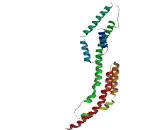 IQ Motif Containing Protein G (IQCG)