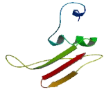 IQ Motif Containing Protein H (IQCH)