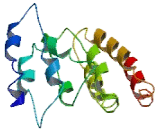 IQ Motif Containing Protein J (IQCJ)