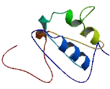 IQ Motif Containing Protein K (IQCK)