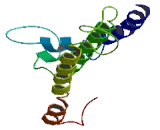 IQ Motif Containing With AAA Domain Protein 1 (IQCA1)