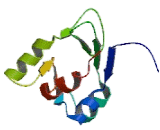 IQ Motif Containing GTPase Activating Protein 2 (IQGAP2)