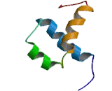 ISL LIM Homeobox Protein 1 (ISL1)