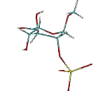 Iduronic Acid (IdoA)