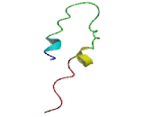 Ileal Sodium Bile Acid Cotransporter (ISBT)