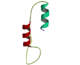 Immediate Early Response 3 Interacting Protein 1 (IER3IP1)