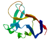 Immune Receptor Expressed On Myeloid Cells 2 (IREM2)