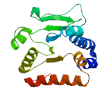 Immunity Related GTPase Family, M (IRGM)