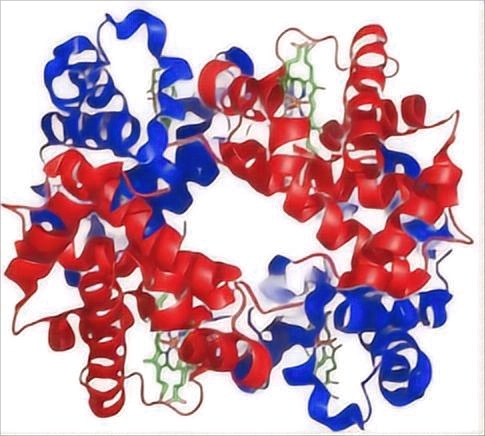 Immunoglobulin G-binding protein G, Streptococcus sp. group G (IgG-binding protein G)