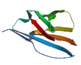 Immunoglobulin Heavy Variable (IgHV)