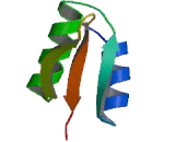 Immunoglobulin Mu Binding Protein 2 (IGHmBP2)