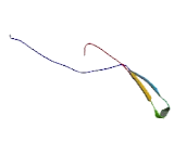 Immunoglobulin Superfamily, DCC Subclass, Member 4 (IGDCC4)