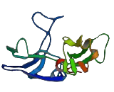 Immunoglobulin Superfamily, Member 21 (IGSF21)