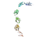 Immunoglobulin Superfamily, Member 22 (IGSF22)