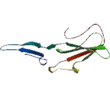 Immunoglobulin Superfamily, Member 5 (IGSF5)